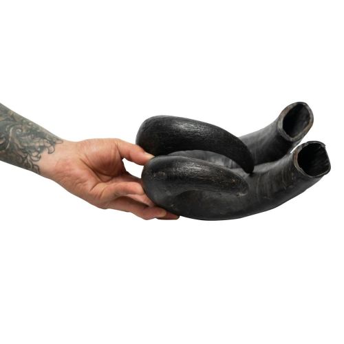 Water Buffalo Horn-100% Natural; Long-Lasting; Grain-Free; Gluten-Free; Dog Dental Treats & Chews-2 COUNT-15 oz Water Buffalo Horn-100% Natural; Long-Lasting; Grain-Free; Gluten-Free; Dog Dental Treats & Chews-2 COUNT-15 oz