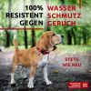 Waterproof Dog Collar Adjustable for Large Dogs Small and Medium Dogs Heavy Duty Collar with Durable Metal Clasp Red Color 10-16 inch Neck x 4/5 inch