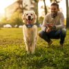 328FT Electric Wireless Dog Fence System With GPS Location Monitor Collar Receiver